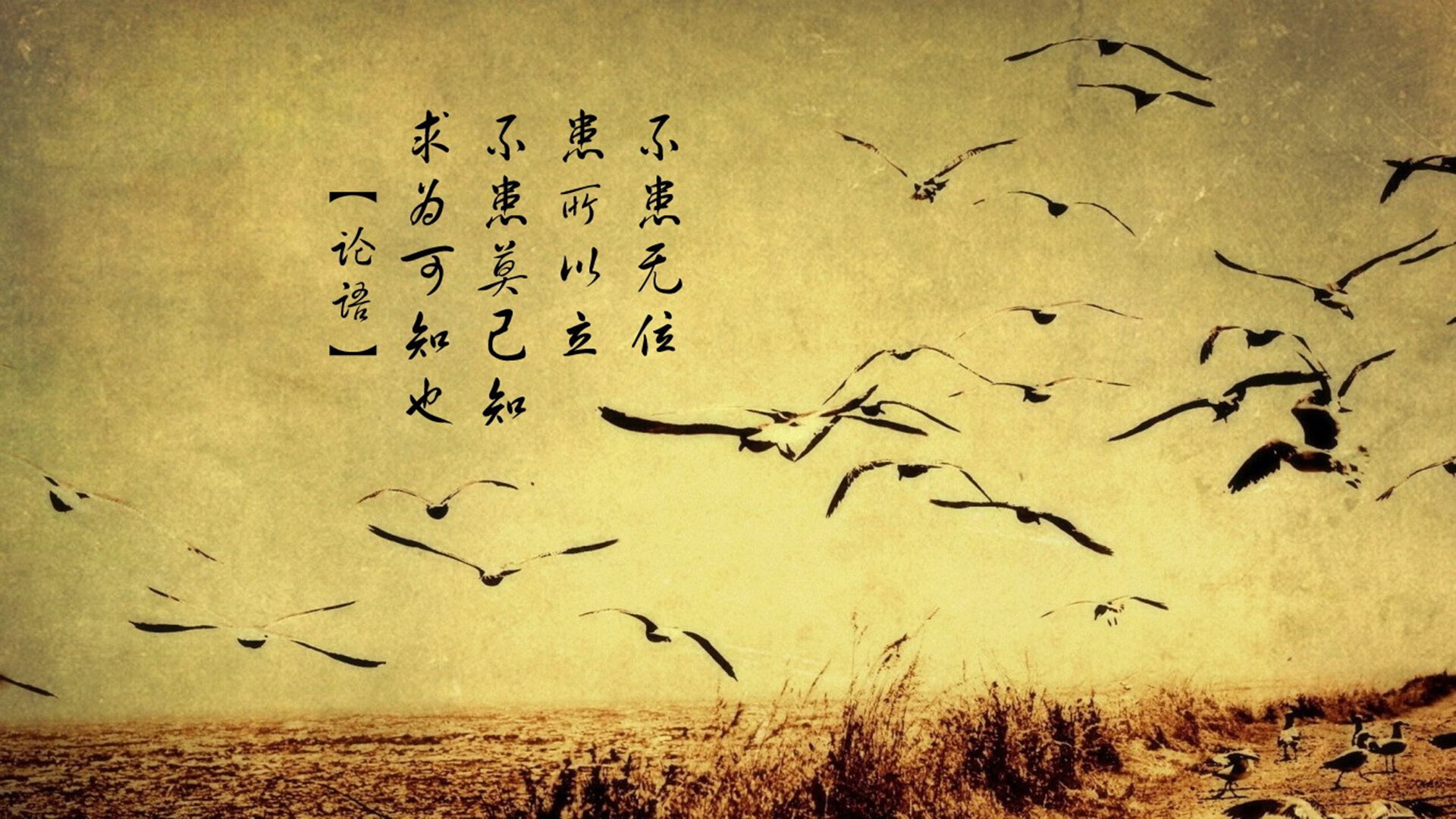中超联赛的俱乐部运营策略分析，中超俱乐部所有者结构