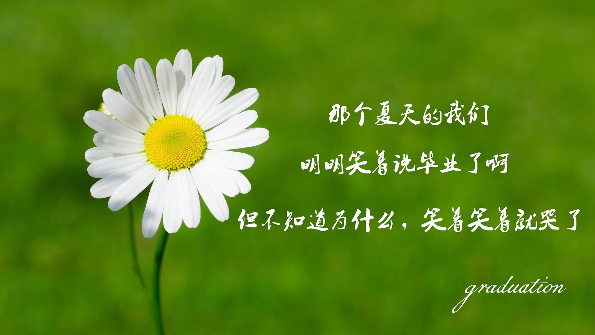 开云官网-埃及国家德比的裁判选择引发讨论，德比有哪些