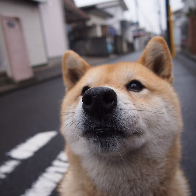 亚冠联赛中国足球平局 球迷理性看待结果，中国足球亚冠征战史
