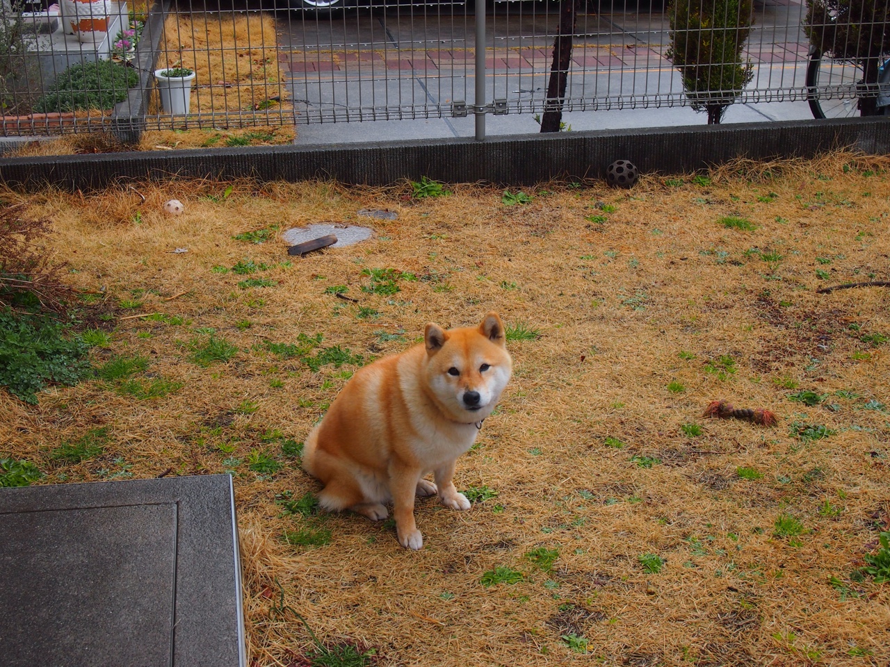 kaiyun.com-美国队国际乒联混合团体世界杯赛场亮眼表现点评，美国乒乓球队百度百科