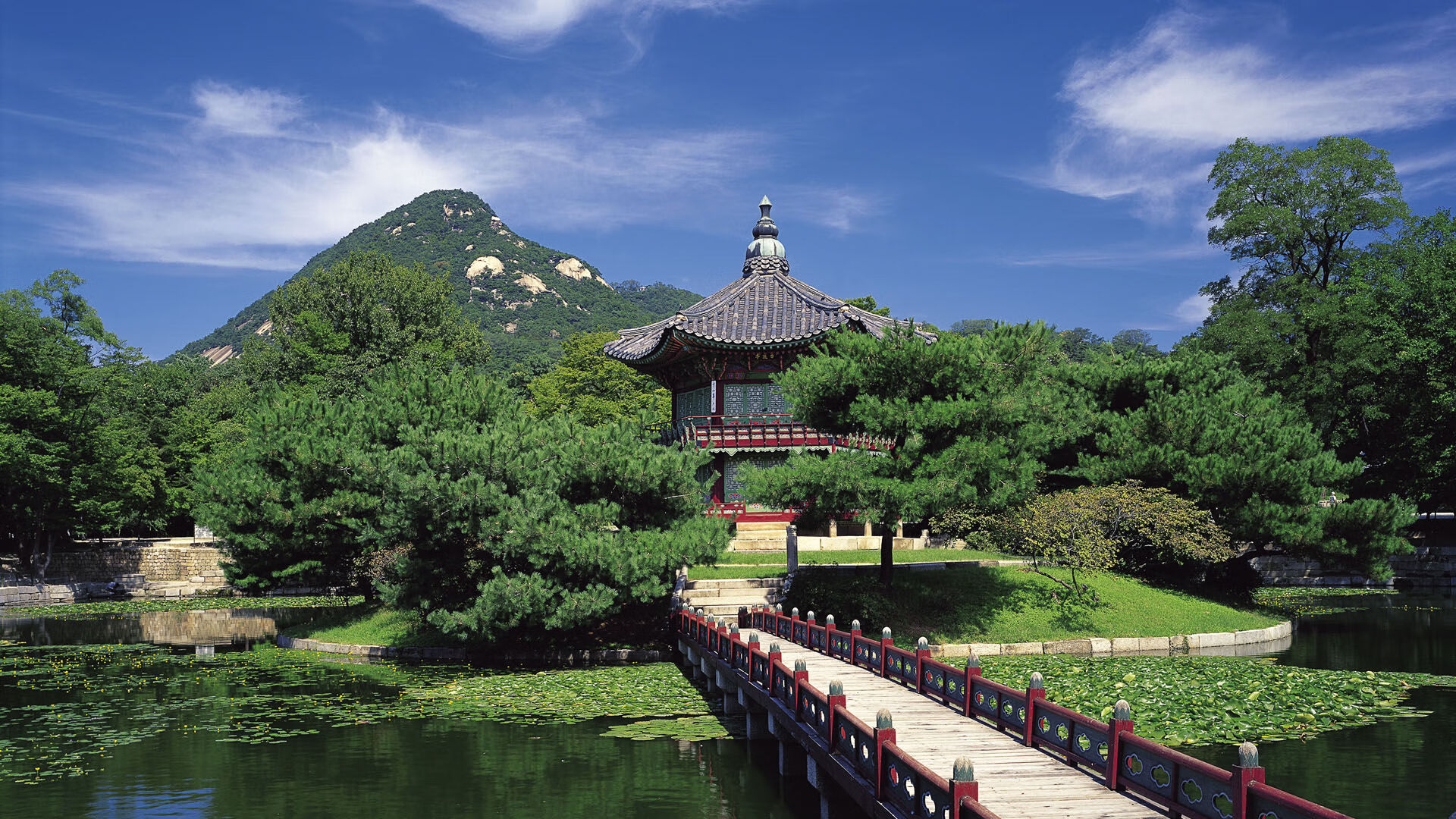 kaiyun网站-“尼古拉斯·桑特基：阿根廷美洲狮队的战术天才，未来值得关注”