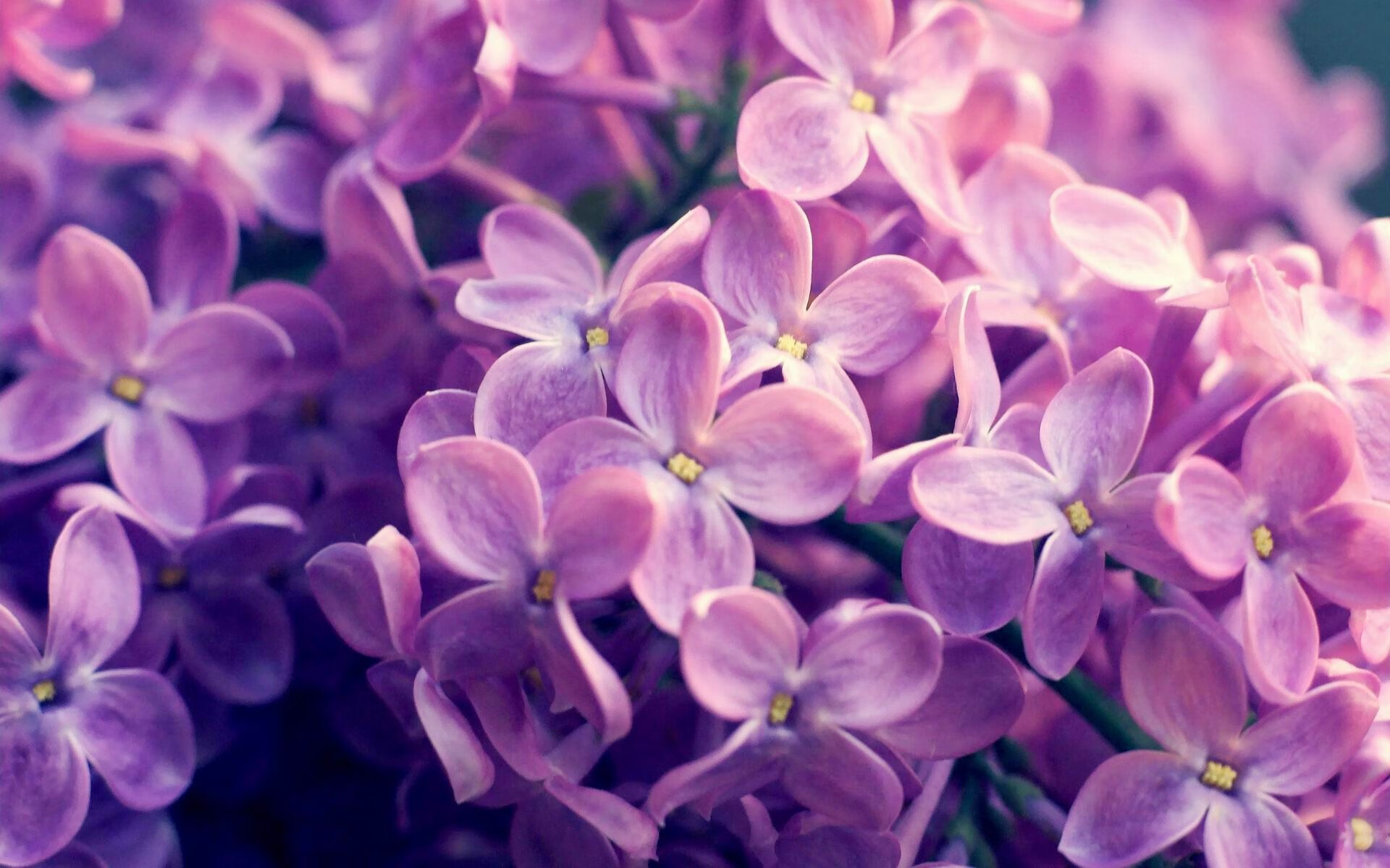 开云网页版登录入口-“马科斯·莫奇的速度与力量，成为阿根廷美洲狮队防守的坚实保障”