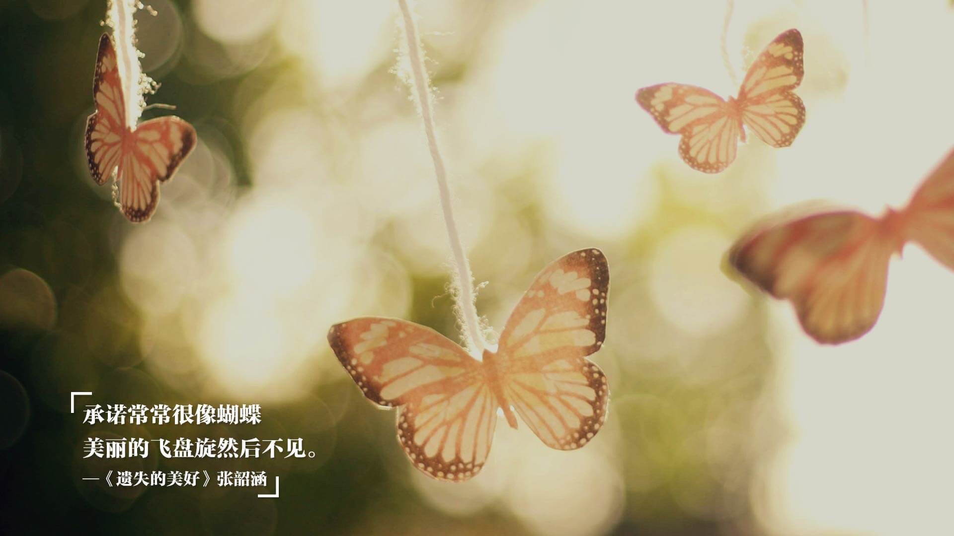 kaiyun官方入口登录-火箭老将指导年轻队员传授经验心得，火箭前教练去哪了