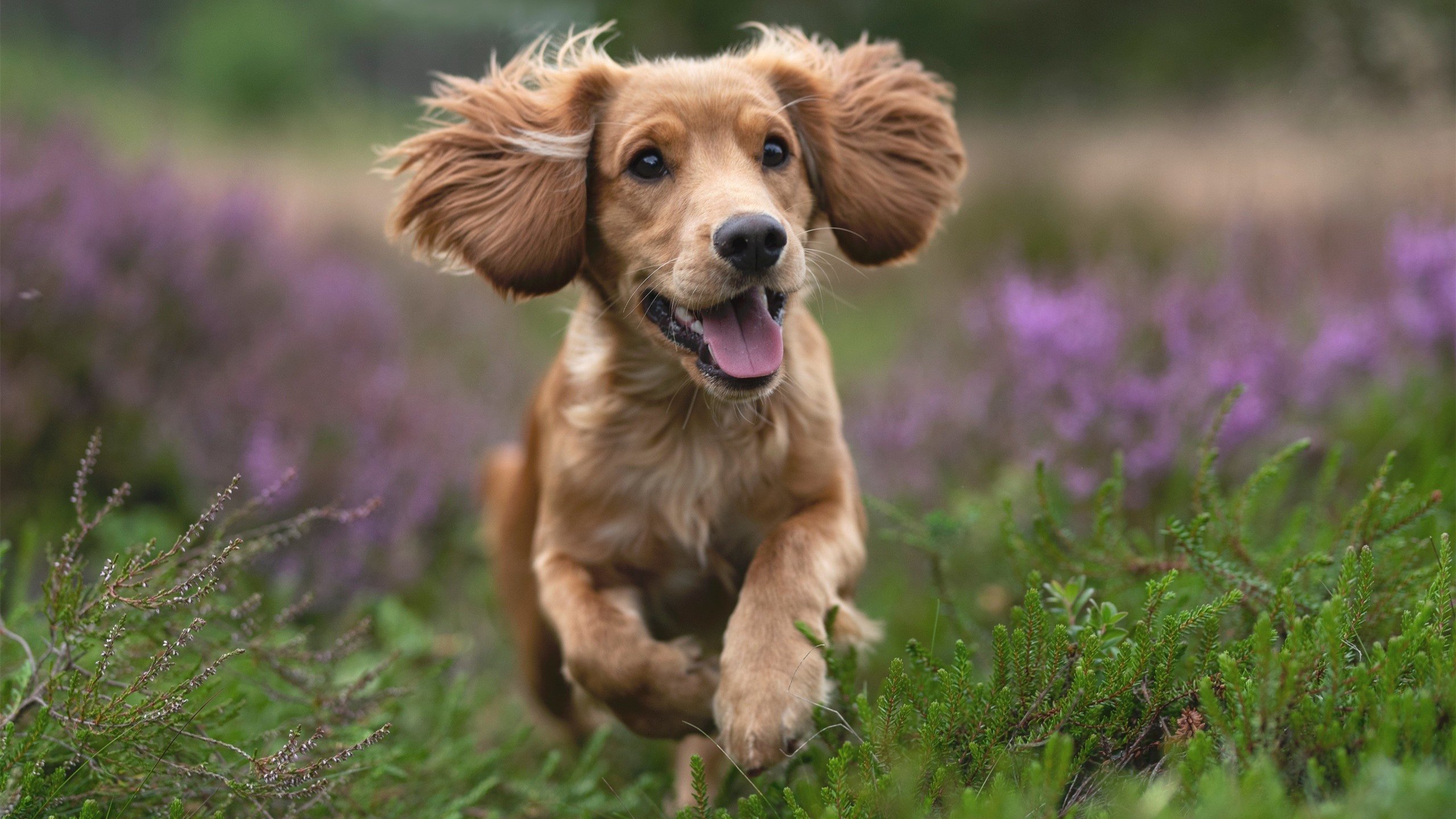 穆里尼奥直播连线老将温情满满，穆里尼奥集锦