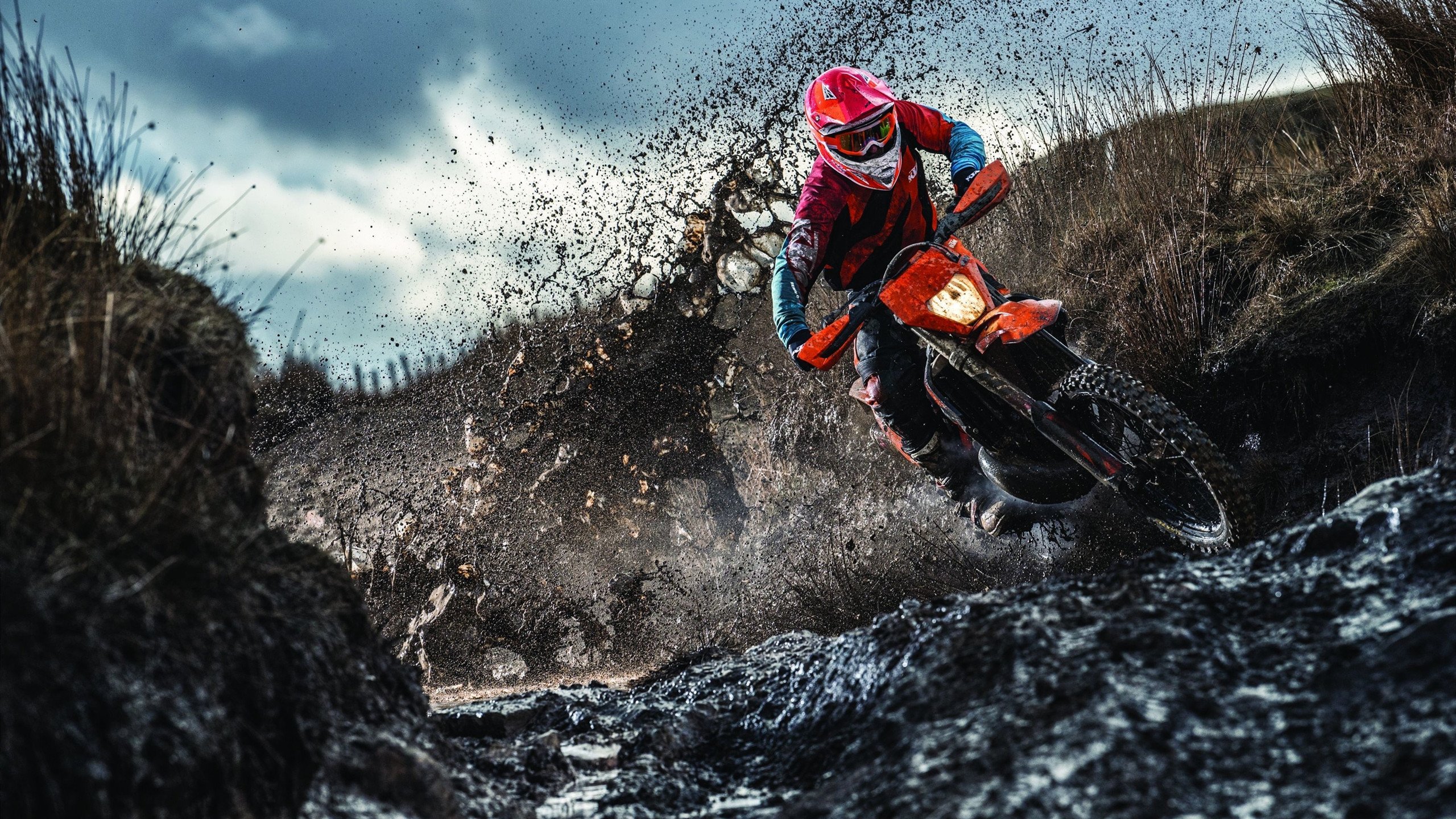 全国青少年“体育+环保”跨界合作在长沙创新展开，倡导绿色运动理念