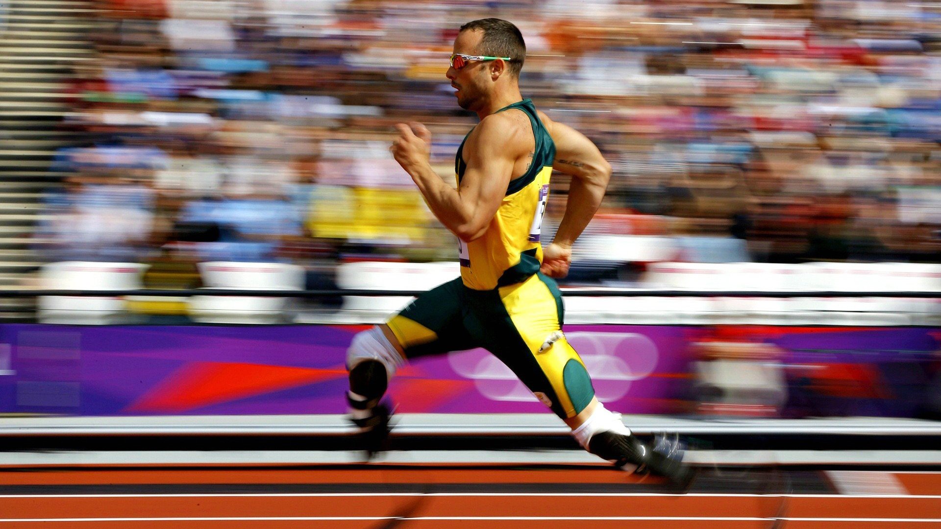 高空绳索障碍挑战，锻炼身体与意志力